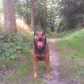 Lieve mooie Kylie, nog heeeeel eventjes 11 jaar