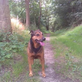 Lieve mooie Kylie : Morgen 12 jaar !