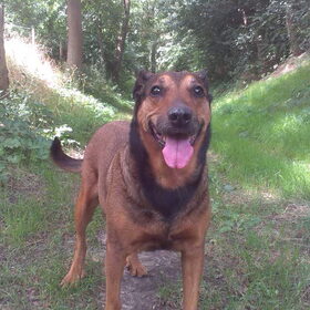 Lieve mooie Kylie, Morgen 15 aug 2014 word je 12 ! xxx