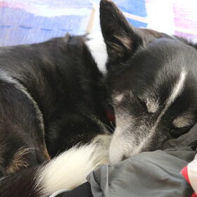 Moe van de vakantie!