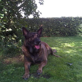 Zora wordt 8 jaar a : 19/08/2014