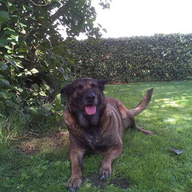 Zora wordt 8 jaar b