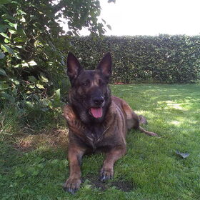 Zora wordt 8 jaar 19/08/2014 c