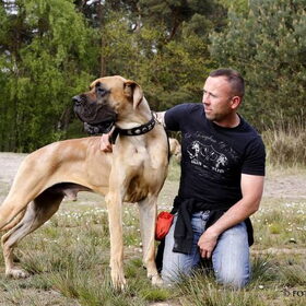 Hondenfoto van Of Devoted Dogs 