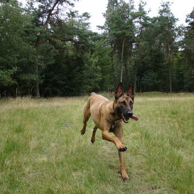 Aktie!