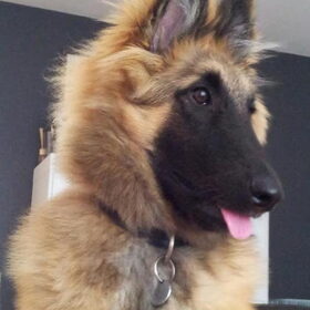Cutie...