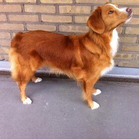 Mijn knappe meisje