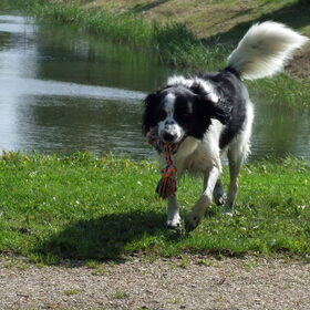 Bruno, 29-08-2014