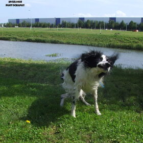 Bruno, 29-08-2014