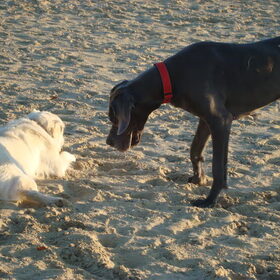 Spelen??
