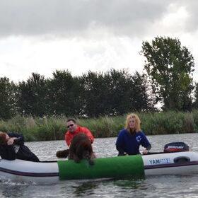 Hondenfoto van Jeanine :)