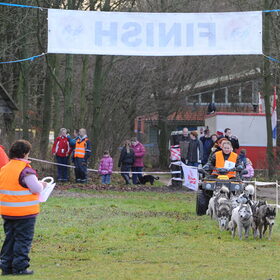 Sledhonden wedstrijd 12-12-2009 in het Kuinderbos (Bant N O P)