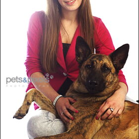 Hondenfoto van Dutchshepherdteam 