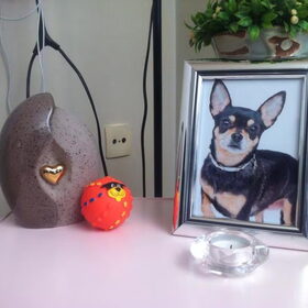 Hondenfoto van Samira & *Daya* † R.I.P Shakira
