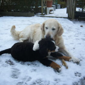 samen in de sneeuw voor de eerste keer