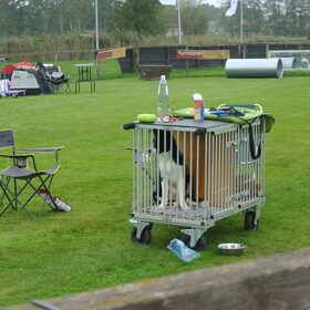 Belgian Border Collie Club show 14-09-14