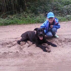 Hondenfoto van Liesbeth... Jack - Max † - Blixem