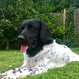 relaxen in de tuin.