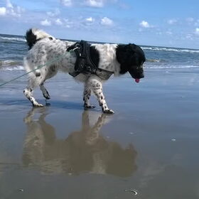 Lekker op het strand!