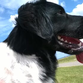 Met de neus in de wind op Schier!
