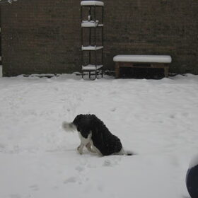 Waar is de wereld gebleven???
