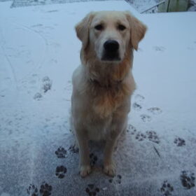 Eerste keer sneeuw :D