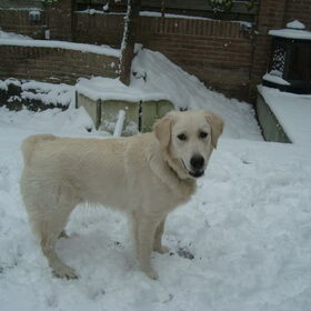 Lekker rotzooien in de sneeuw!