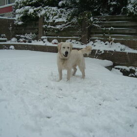 Vervelende sneeuwvlokjes
