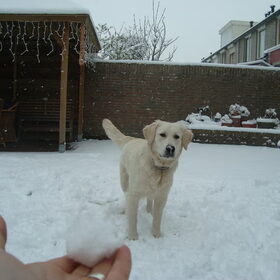 Hij vond de eerste x sneeuw echt geweldig!!