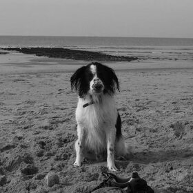 Strand ~ 28-09-2014
