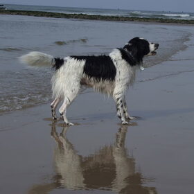 Strand ~ 28-09-2014