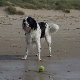 Strand ~ 28-09-2014