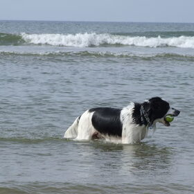 Strand ~ 28-09-2014