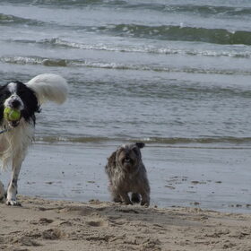 Strand ~ 28-09-2014