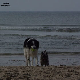 Strand ~ 28-09-2014