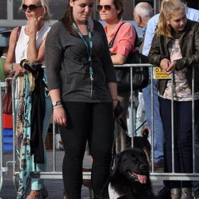 Hondenfoto van Anouk & Balou<3