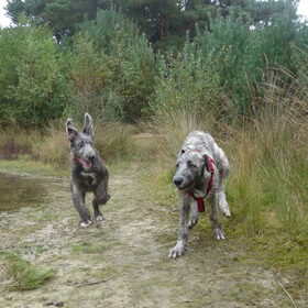 Samen met ( stief ) zus Nessa ... en ik doe een konijntje na ;)