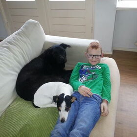 Hondenfoto van Liesbeth... Jack - Max † - Blixem