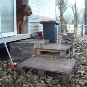 Hondenfoto van Hondenhumor Sasja de Eerste ITC-Hond die nu met pensioen is.
