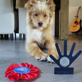 Meegedaan aan de Ijsselshow 2014, VB en beste pup :)