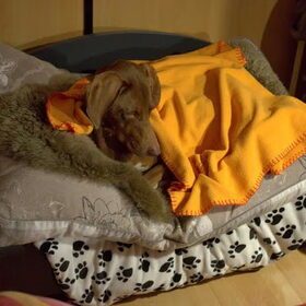 Mellow op de erwt... ;) Omdat ze niet in haar mooie handgemaakte…