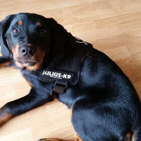 Stoere chick :)