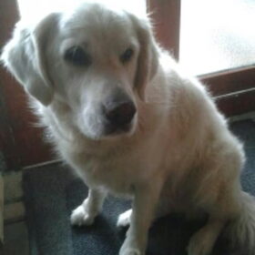 Amber 9jaar