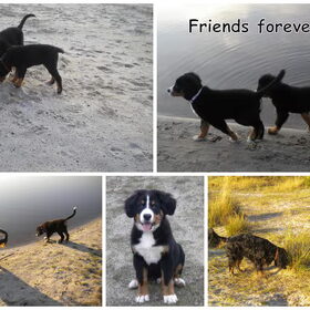 Wandelen in de sahara met Diesel en Deejay ...