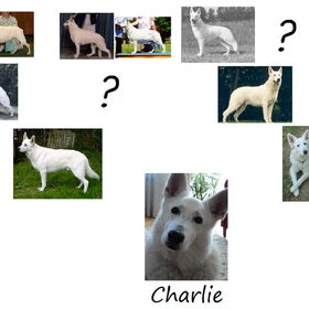Stamboom van Charlie