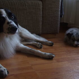 02-11-2014, samen rusten