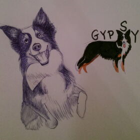 Gypsy