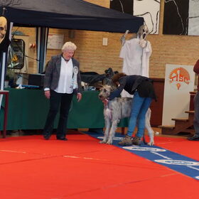 Nessa in pose zetten