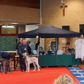 Murphy in pose zetten
