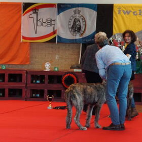 Yes best of all. Direct kijken naar fokster en beste vriendin…